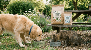 Eco-friendly sustainable pet food options and natural ingredients