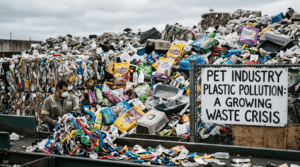 Pet industry plastic problem showing environmental waste concerns.