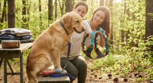 durable pet gear — Choosing Durable Pet Gear: Longevity as a Green Choice